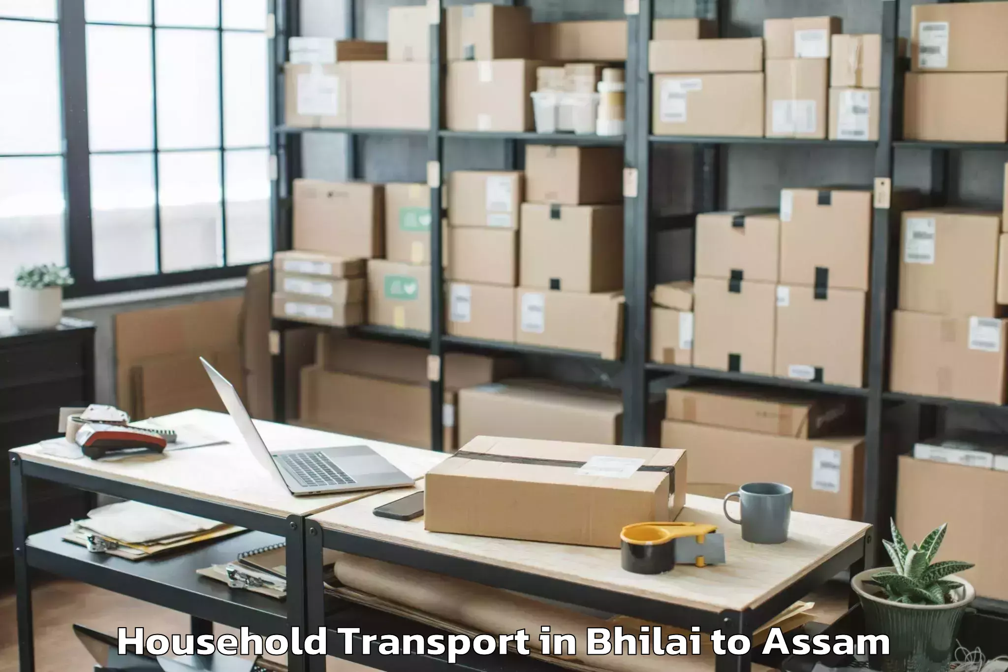 Book Your Bhilai to Lalapur Hailakandi Household Transport Today